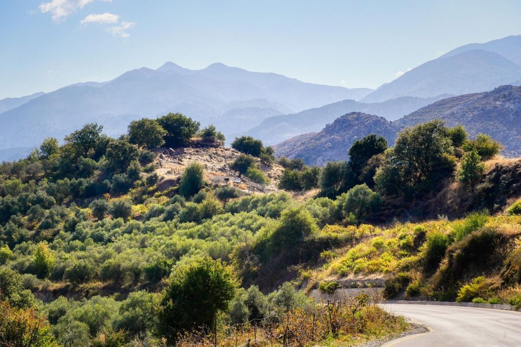 crete, greece, island, october, nature, landscape, road, olive trees, mediterranean, mountains